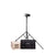 AD600BMII Battery Powered Location Kit - Single Light