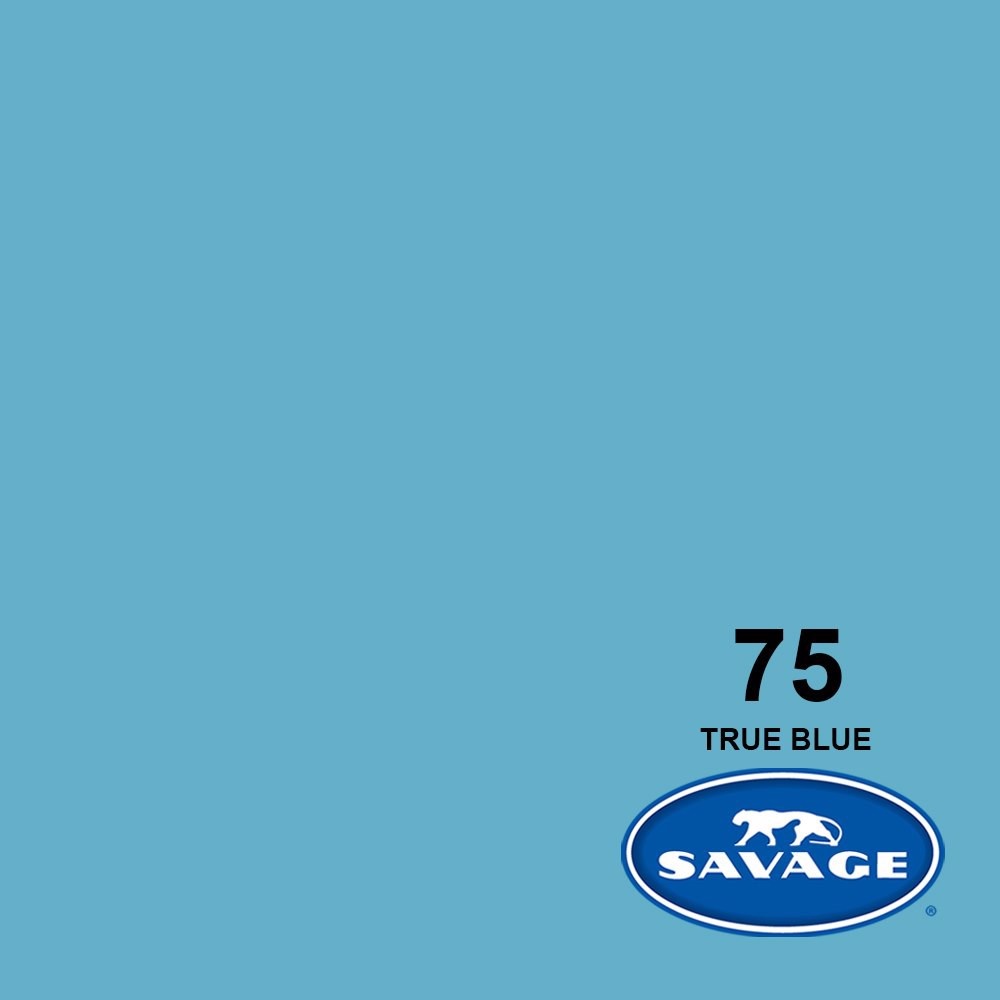 Savage Seamless Paper 7&#39;- True Blue #75