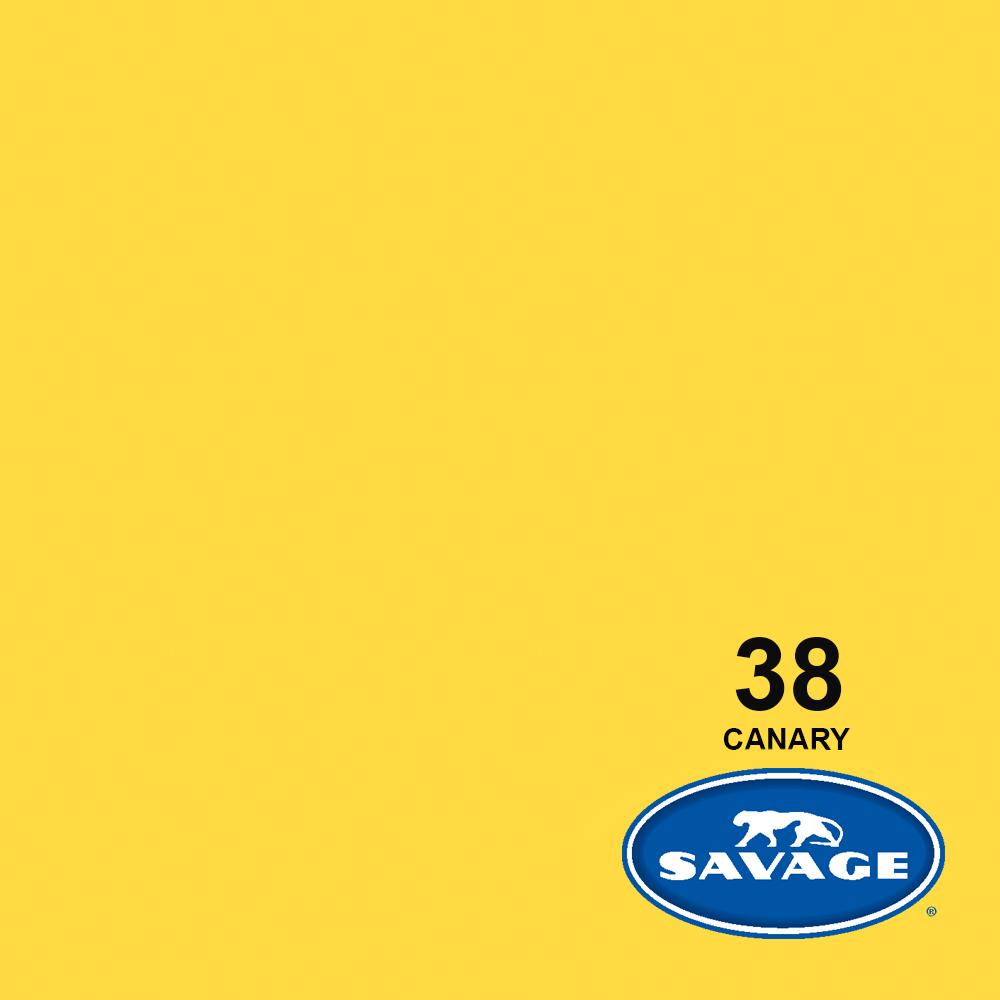 Savage Seamless Paper 7'- Canary #38