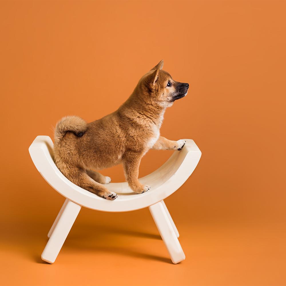 Savage Seamless Paper 4.5&#39;- Sienna #17