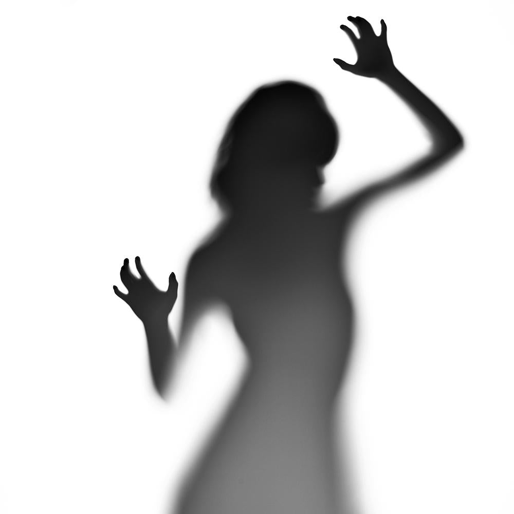 Savage Seamless Translum 4.5&#39;- Heavyweight - Strobepro Studio Lighting